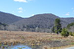 Sylvania Township fields with hills behind